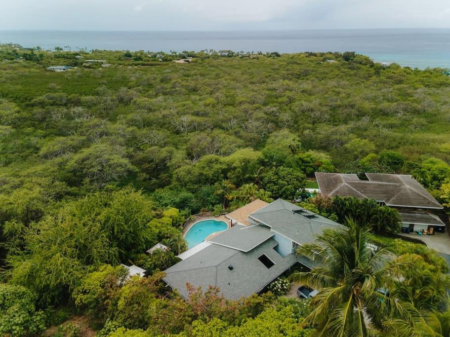 The Pohaku Studio At The Koi House Kailua-Kona Exteriör bild